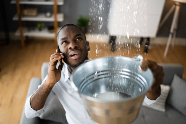 Professional Water damage restoration in Clermont, IN