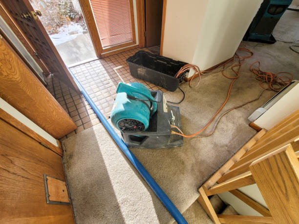 Carpet water damage restoration in Clermont, IN