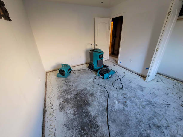 Best Carpet water damage restoration  in Clermont, IN