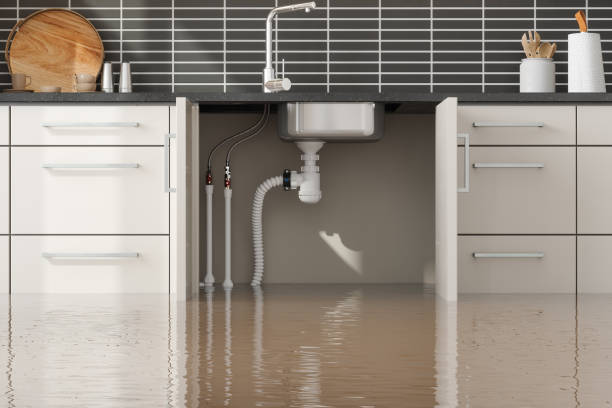 Best Residential water damage restoration  in Clermont, IN